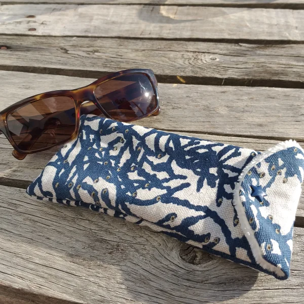 Etuis de la mer bleus