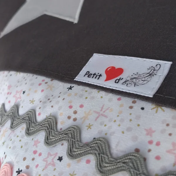 Couverture princesse des étoiles